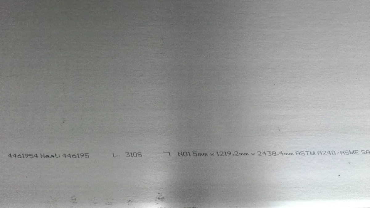 310S plate – foto 3